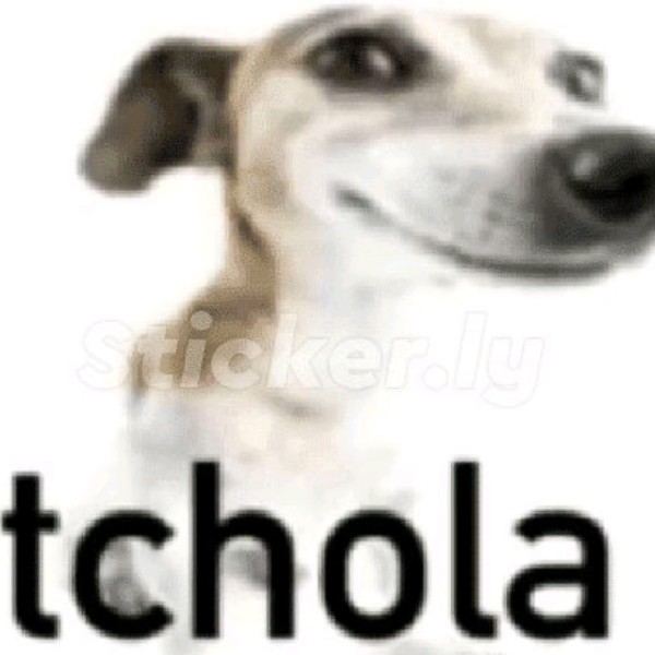 Chat de caos