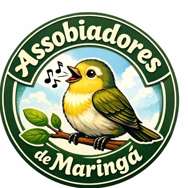 ASSOBIADORES ANÔNIMOS