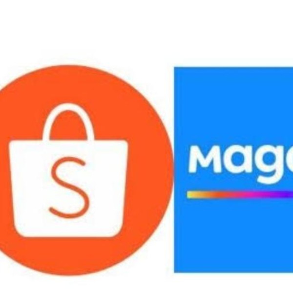 Achadinhos da shoppe e magazine