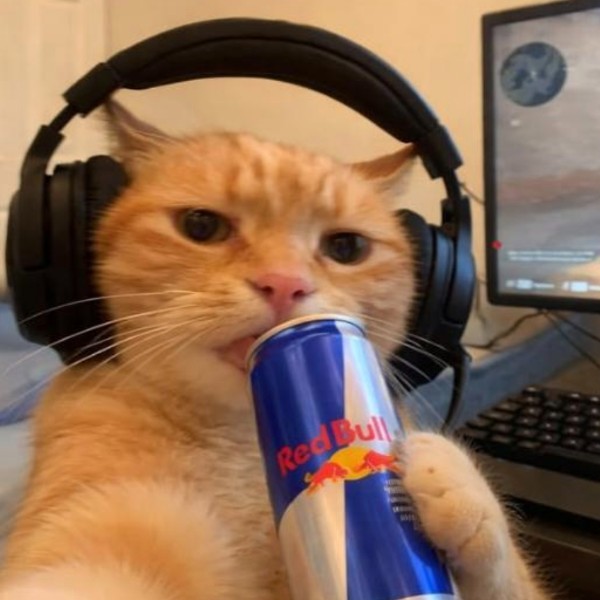 Invictus #Chat