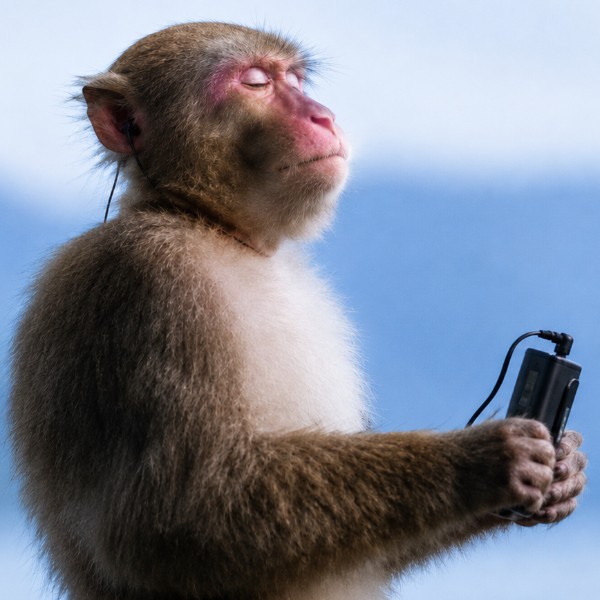 Pessoas pobres com fones ruins