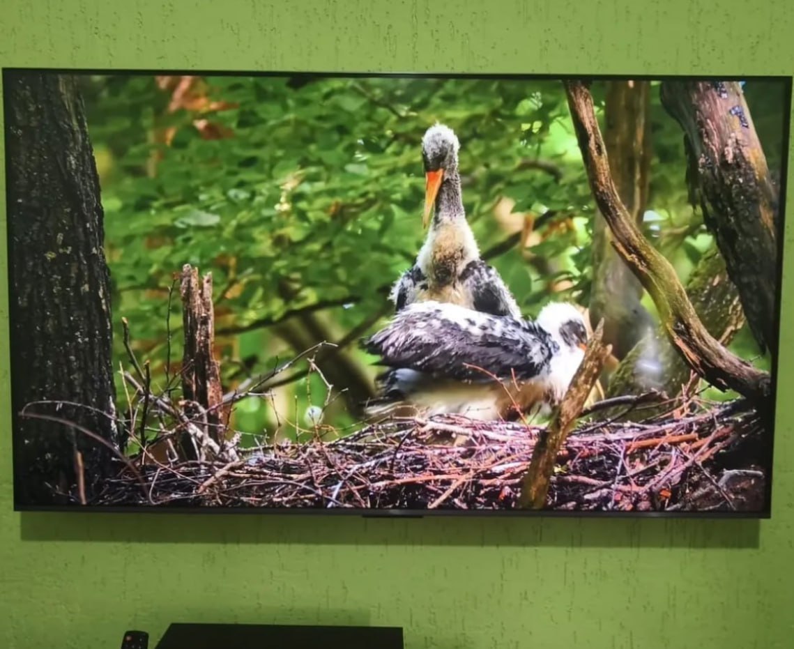 CUPOM PRA QUEM ACHA QUE ASSISTIR TV É ESPORTE OLÍMPICO! 📺