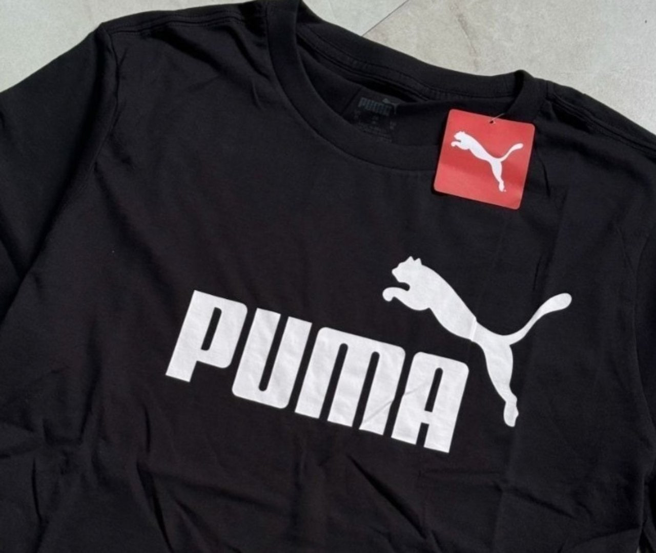 COM ESSA CAMISETA, ATÉ O FELINO TE PEDE AUTÓGRAFO! 🐱