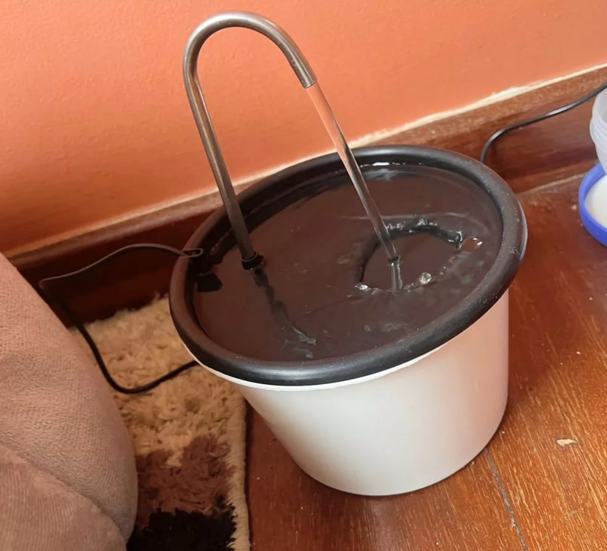 PET AGORA TEM SPA EM CASA, SÓ FALTA A MASSAGEM! 🐾