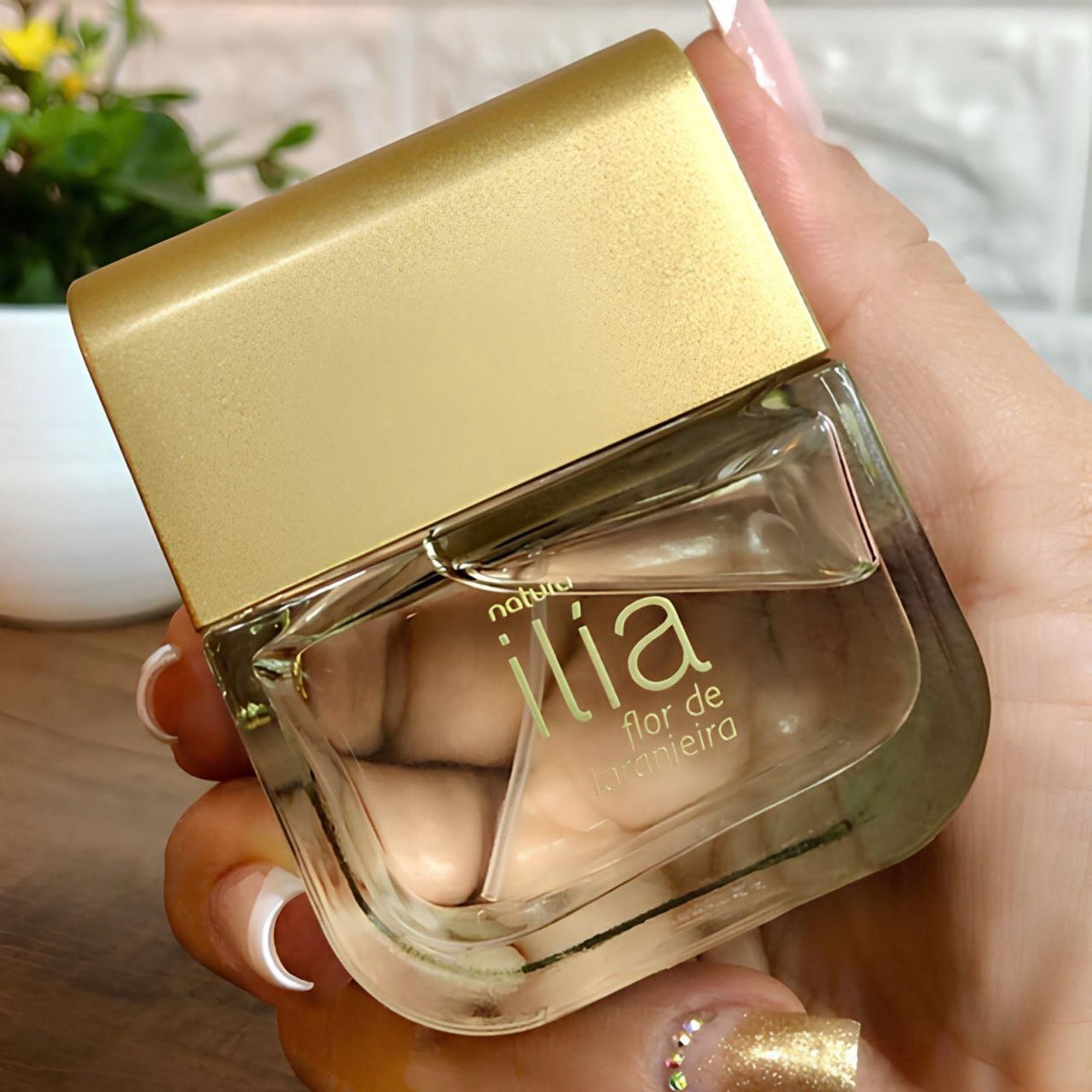 PERFUME DE LARANJEIRA: CHEIROSO E CHEIO DE VITAMINA! 🍊