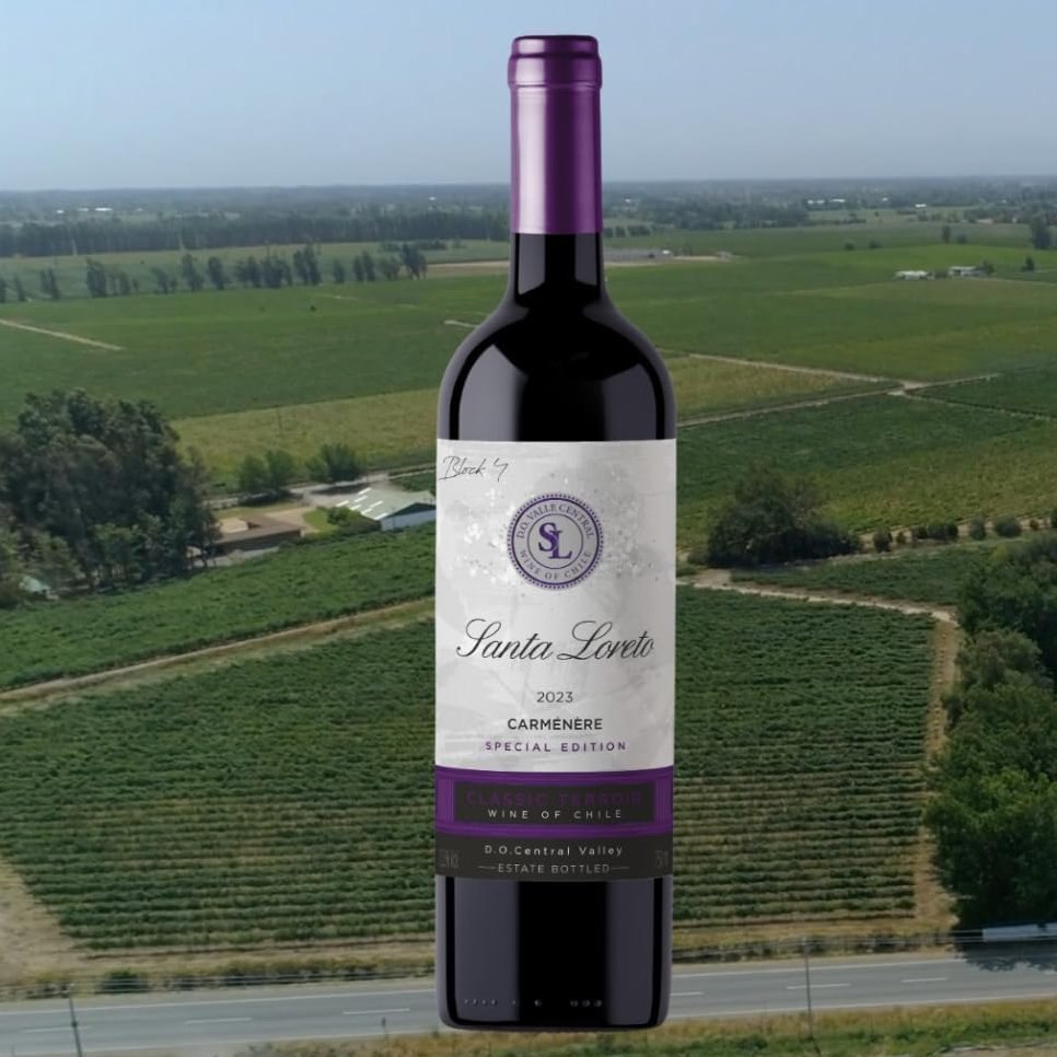VINHO CHILENO? É PRA DAR TCHAUZINHO PRO ESTRESSE! 🍷