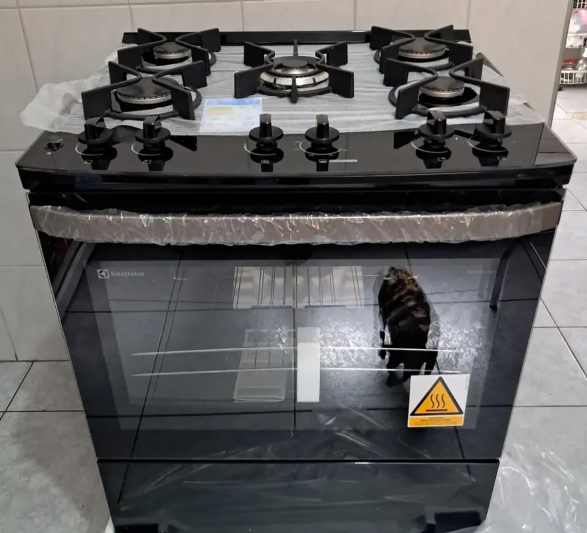 COM 5 BOCAS, AGORA DÁ PRA FRITAR UM MUNDO! 🥘