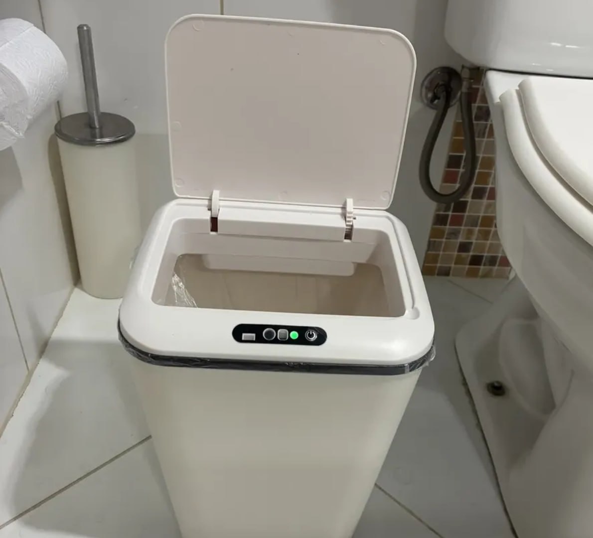 ESSA LIXEIRA É MAIS ESPERTA QUE MUITO AMIGO MEU! 🗑️
