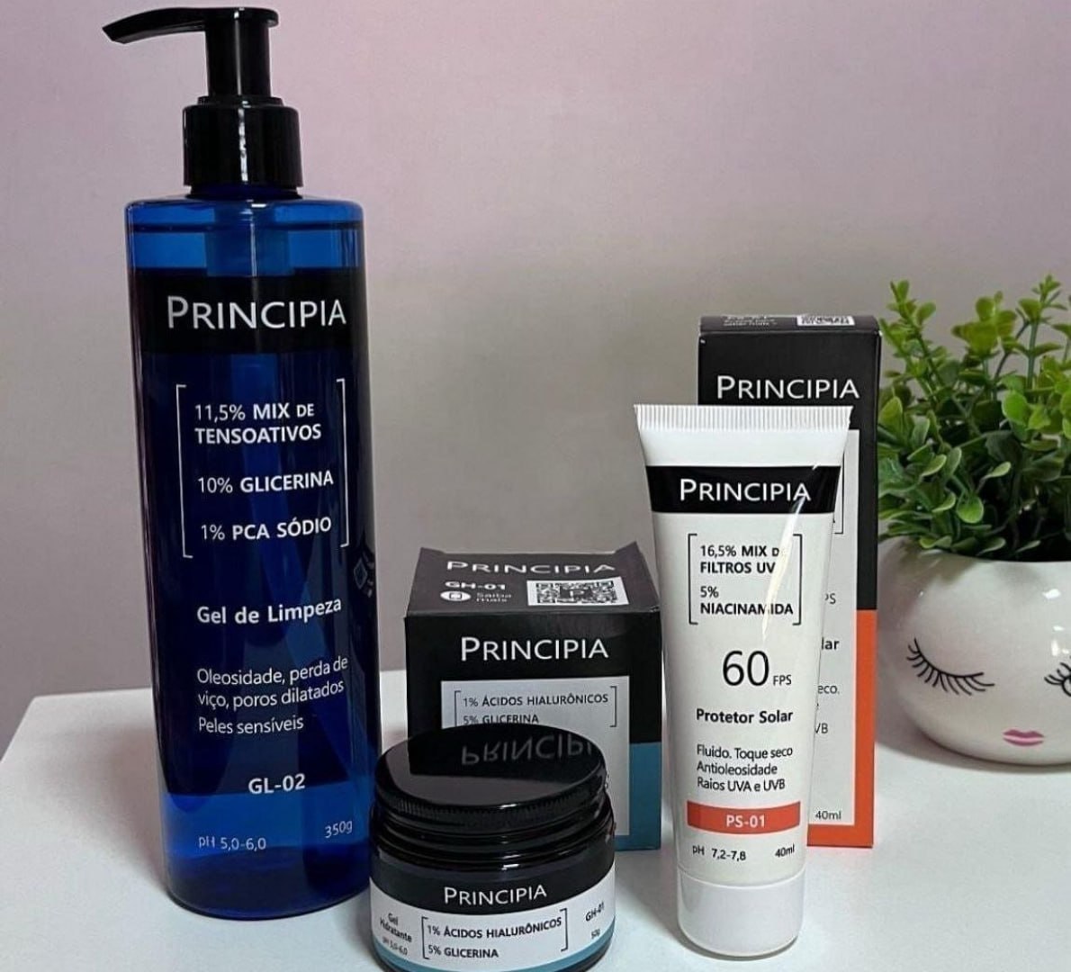 ✅ PRINCIPIA KIT GL-02 + GH-01 + GELADAAAAA PRA REFRESCAR