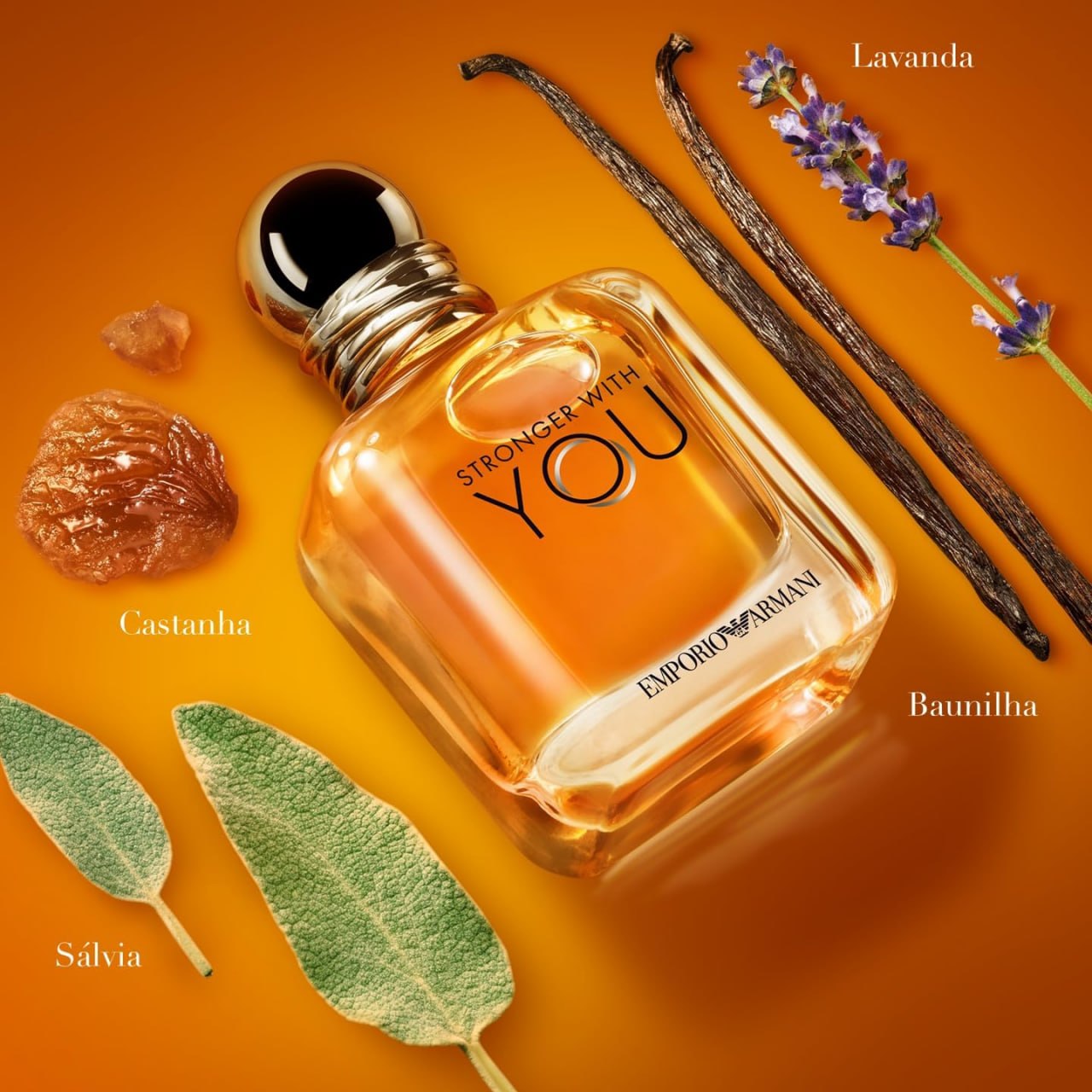 🧴 FOUGÈRE AMADEIRADA QUE SEDUZ NA CHEGADA