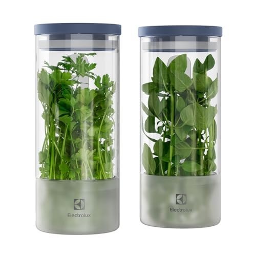 🛍️ Electrolux Kit 2 Potes Herméticos de Vidro para Temperos Frescos e Hortaliças