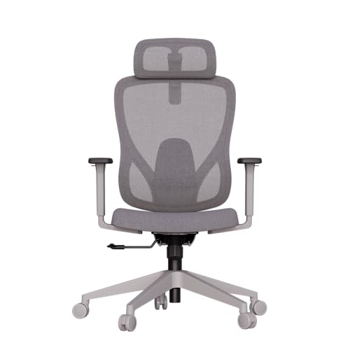🛍️ Elements Cadeira Ergonômica de Escritório Sarin com Apoio Lombar e Cabeça Ajustável, C