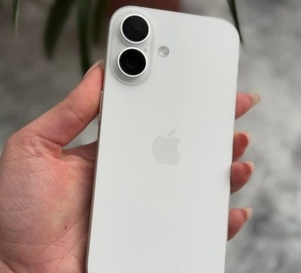 PRA VOCÊ PARAR DE PERDER TEMPO COM CELULAR DE FLIP! 📱