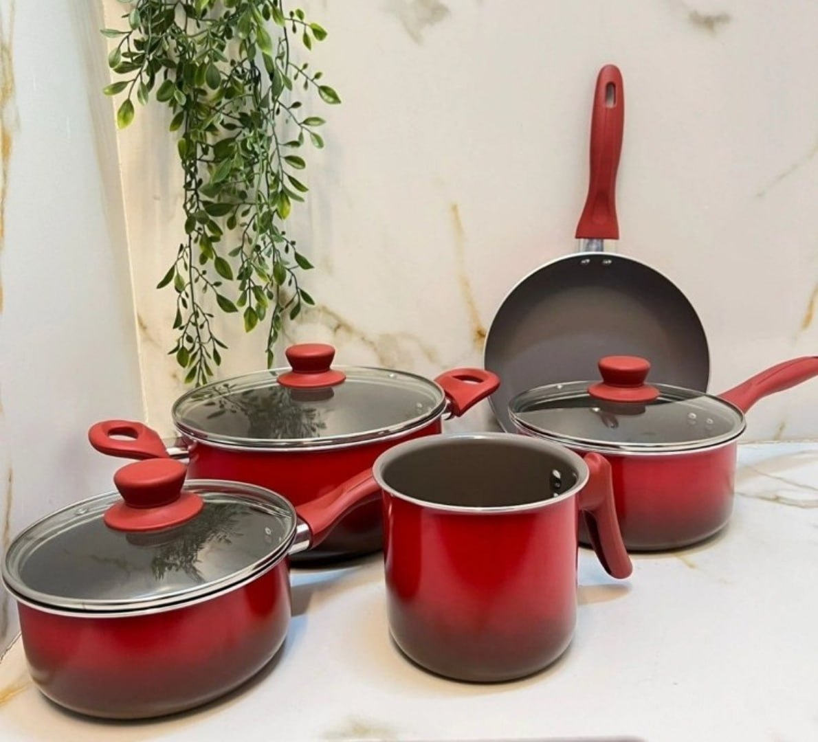 COM ESSAS PANELAS, ATÉ O MIOJO FICA GOURMET! 🍜
