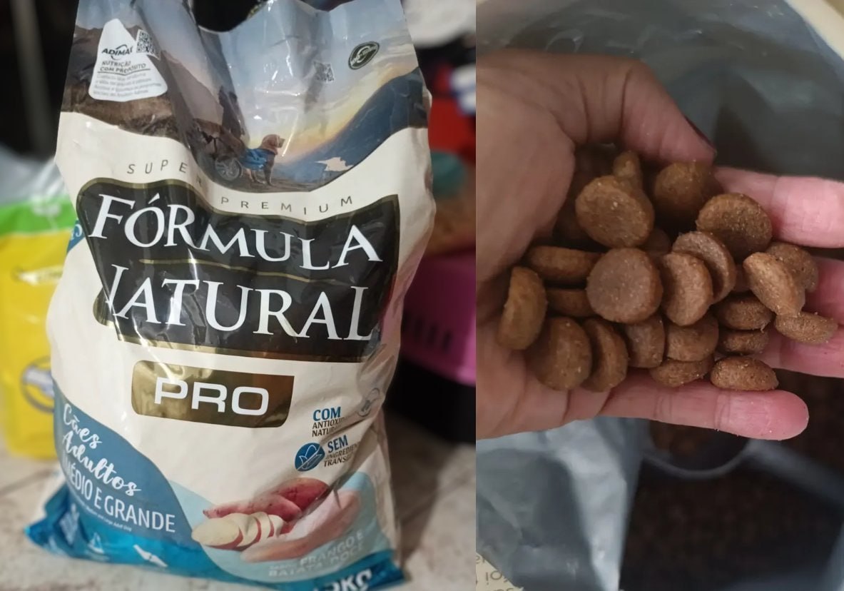 DEIXA SEU DOG TÃO FELIZ QUE ATÉ FAZ O MOONWALK! 🕺