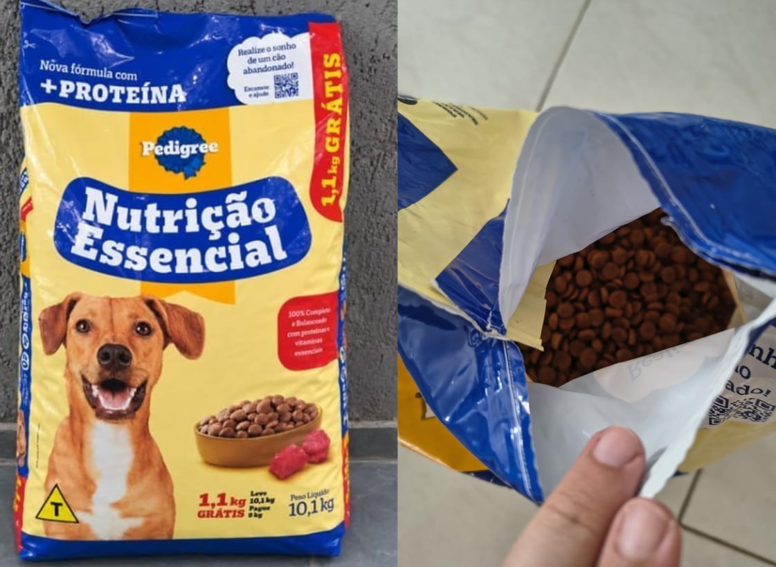 CÃO GOURMET AGORA NÃO VAI QUERER MAIS SABER DE RAÇÃO! 🐶