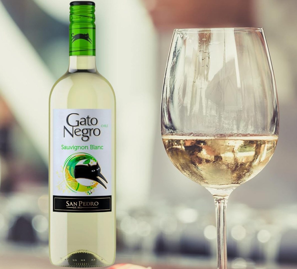 ESSE VINHO AÍ É O GATINHO QUE TODO MUNDO QUER! 😻