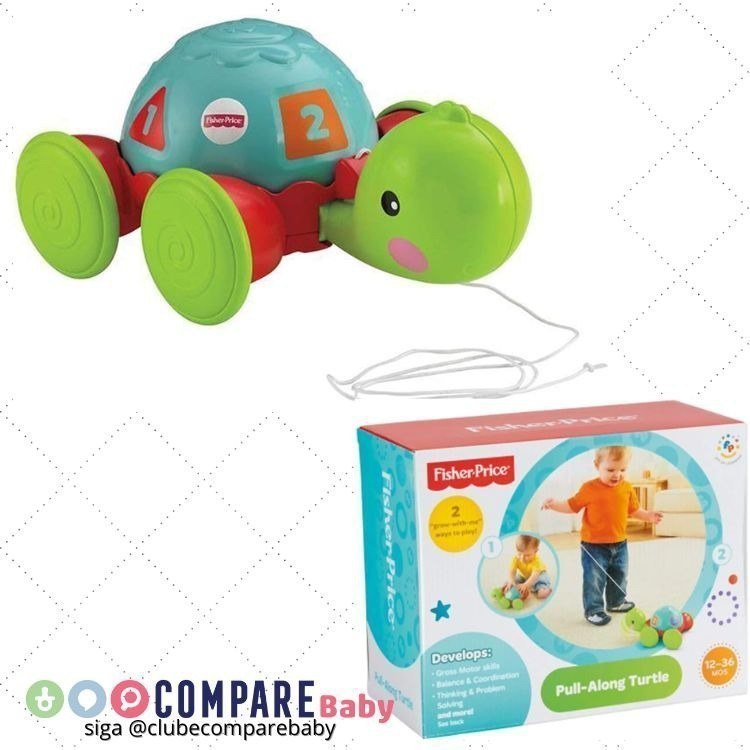 😍 Fisher-Price Brinquedo para Bebês Empurra Tartatuga