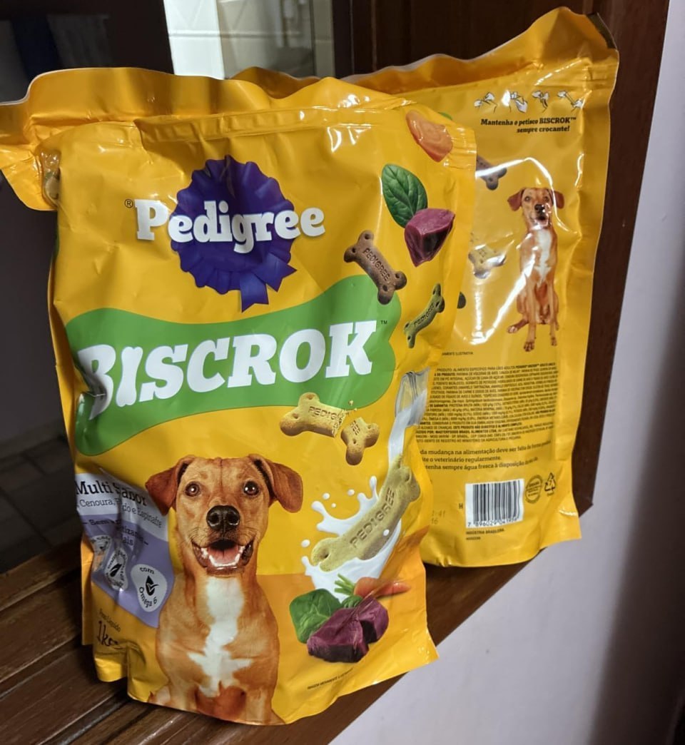 CUIDADO, SEU CACHORRO VAI ACHAR QUE É REI DO PEDAÇO! 🐾