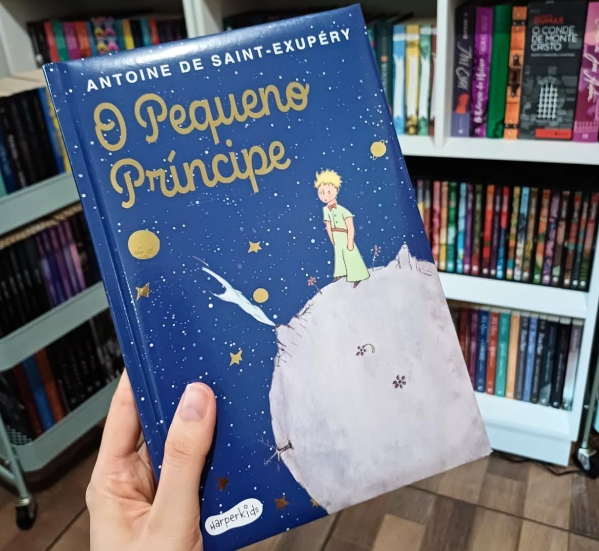 COM ESSE LIVRO, A IMAGINAÇÃO VAI VOAR MAIS QUE EU! 📚