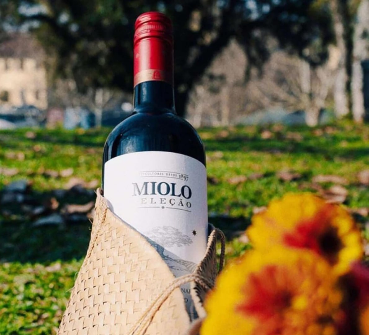 CHEGOU O MOMENTO DE DAR UM GOLE NA VIDA, PARÇA! 🍷