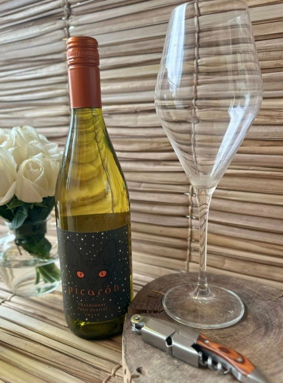 AÍ SIM, UM VINHO QUE DÁ ATÉ PRA BATIZAR CACHORRO! 😂